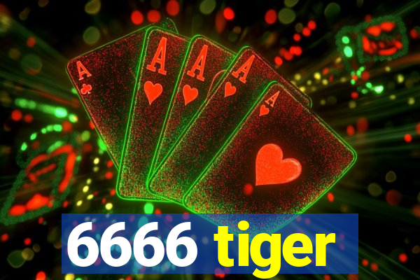 6666 tiger